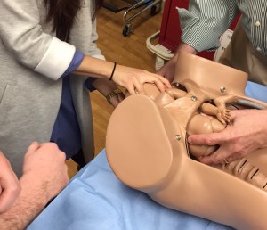 Low fidelity manikin used to teach introductory obstetrics