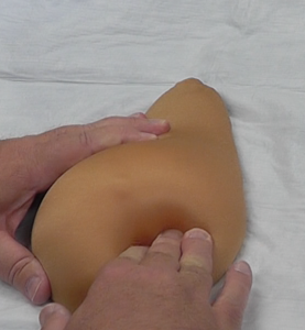 Palpating lumps in this model requires strong, deep pressure with two fingers.