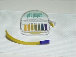 With ruptured membranes, the pH will be brilliant blue, indicating alkaline.